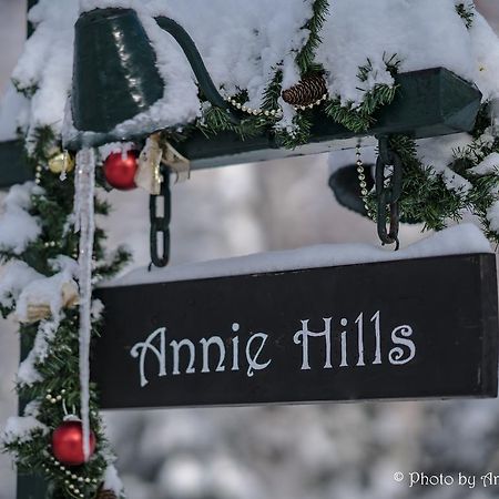 Annie Hills Bed & Breakfast Tateshina  Exterior photo
